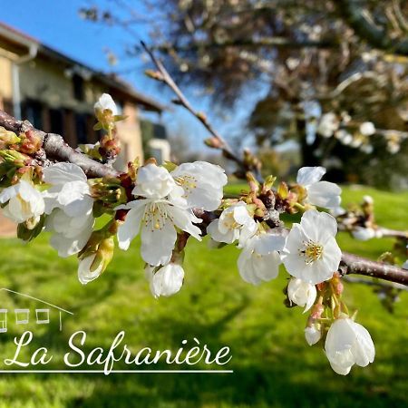 La Safraniere Villa Lagraulet-Saint-Nicolas Exterior foto
